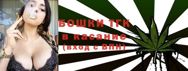 индика Волосово