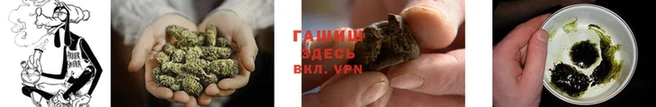 индика Волосово
