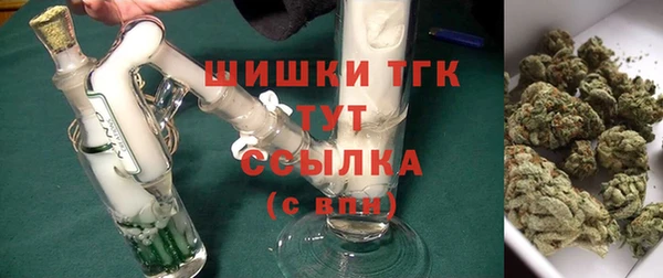 индика Волосово