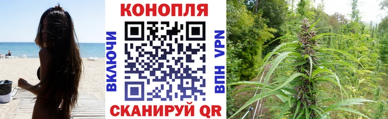 Бошки марихуана гибрид Курск